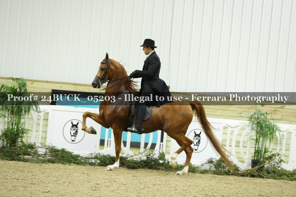 Proof 24BUCK_05203