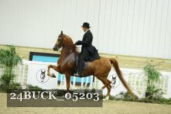 24BUCK_05203 proof