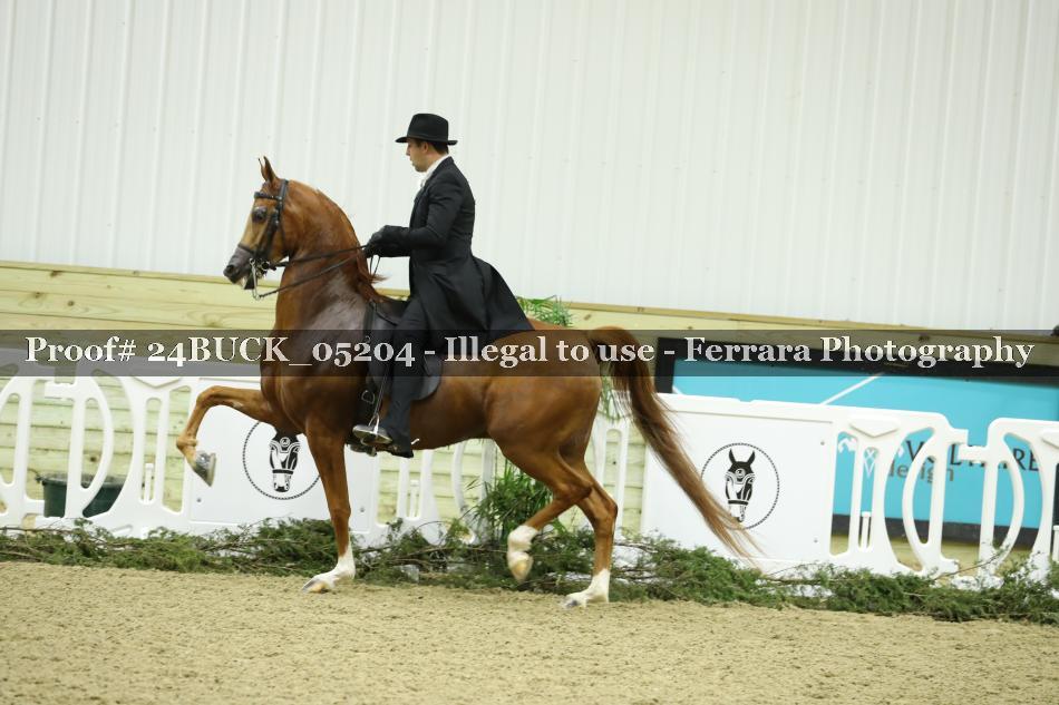 Proof 24BUCK_05204