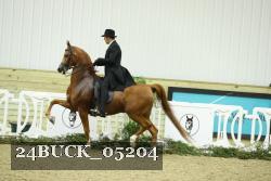 24BUCK_05204 proof