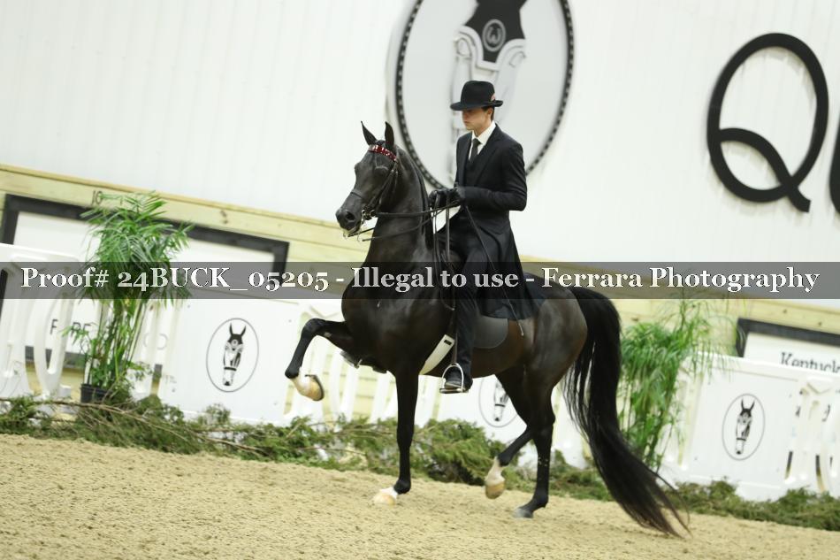 Proof 24BUCK_05205