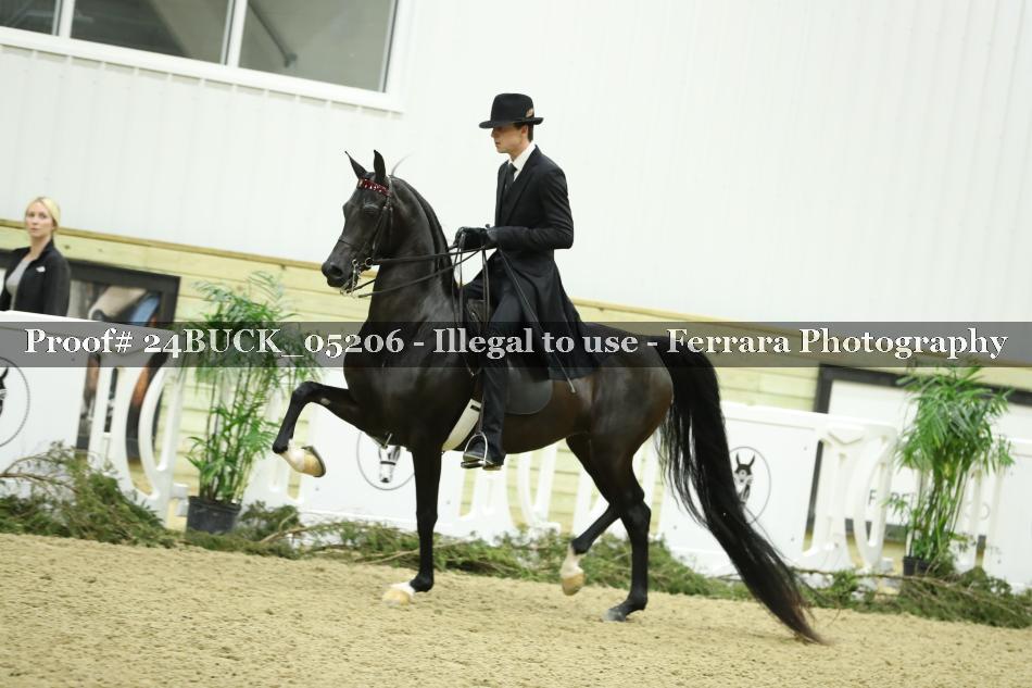 Proof 24BUCK_05206