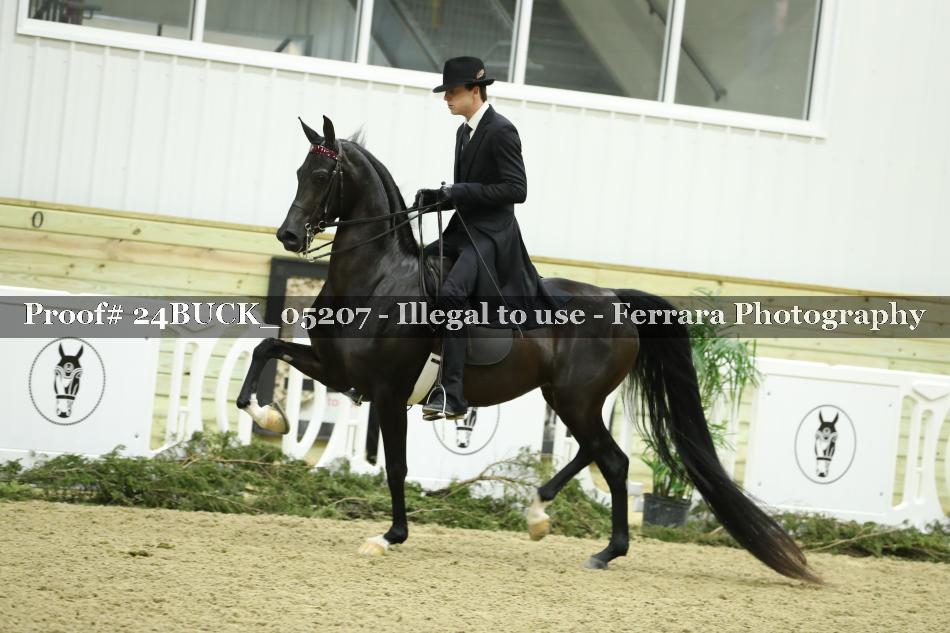 Proof 24BUCK_05207
