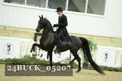 24BUCK_05207 proof