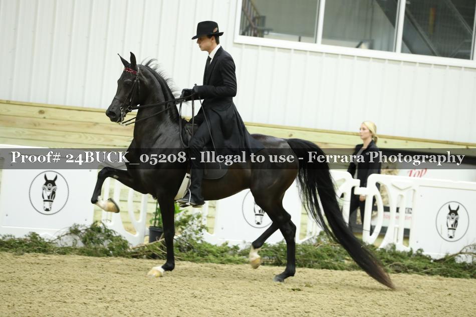 Proof 24BUCK_05208