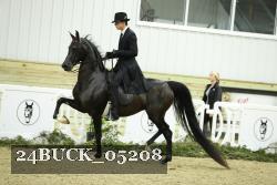 24BUCK_05208 proof