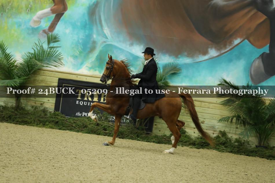 Proof 24BUCK_05209