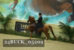 24BUCK_05209 proof