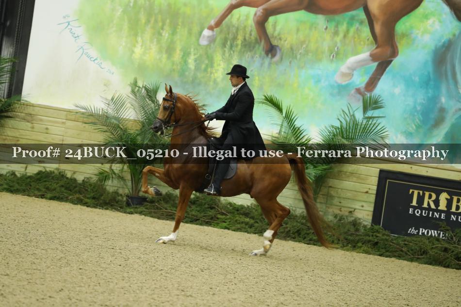 Proof 24BUCK_05210