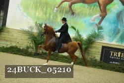 24BUCK_05210 proof