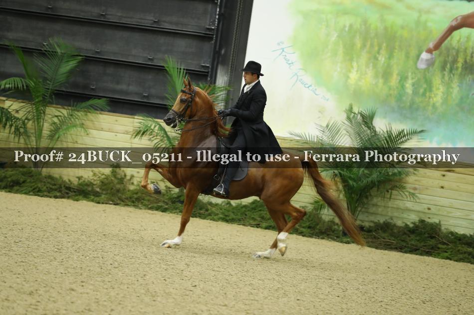 Proof 24BUCK_05211