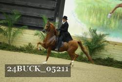24BUCK_05211 proof