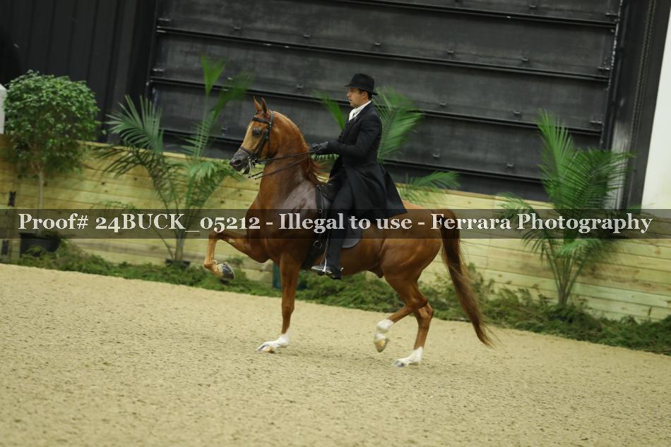 Proof 24BUCK_05212