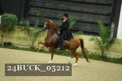 24BUCK_05212 proof