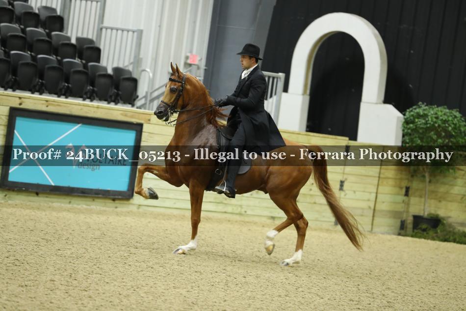 Proof 24BUCK_05213