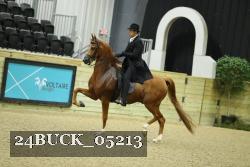 24BUCK_05213 proof