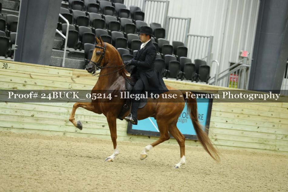 Proof 24BUCK_05214