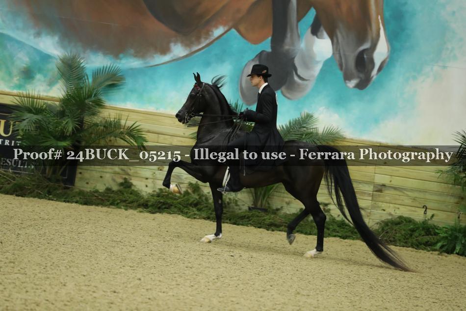 Proof 24BUCK_05215
