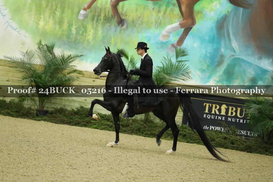 Proof 24BUCK_05216