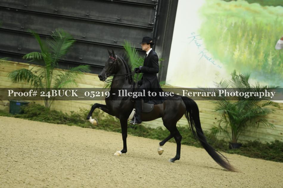 Proof 24BUCK_05219