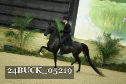 24BUCK_05219 proof