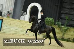 24BUCK_05220 proof