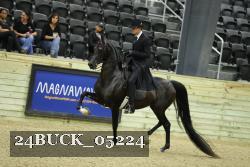 24BUCK_05224 proof