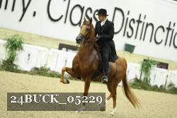 24BUCK_05229 proof