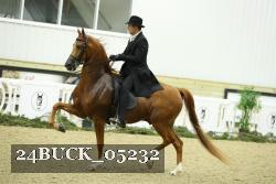 24BUCK_05232 proof