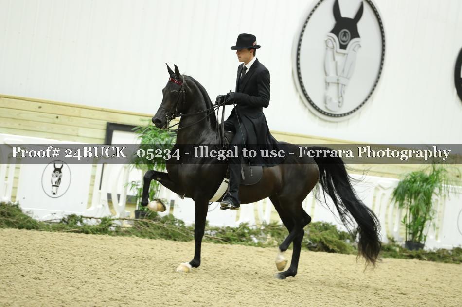 Proof 24BUCK_05234