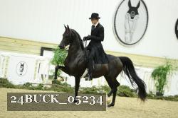 24BUCK_05234 proof