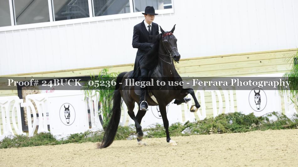 Proof 24BUCK_05236