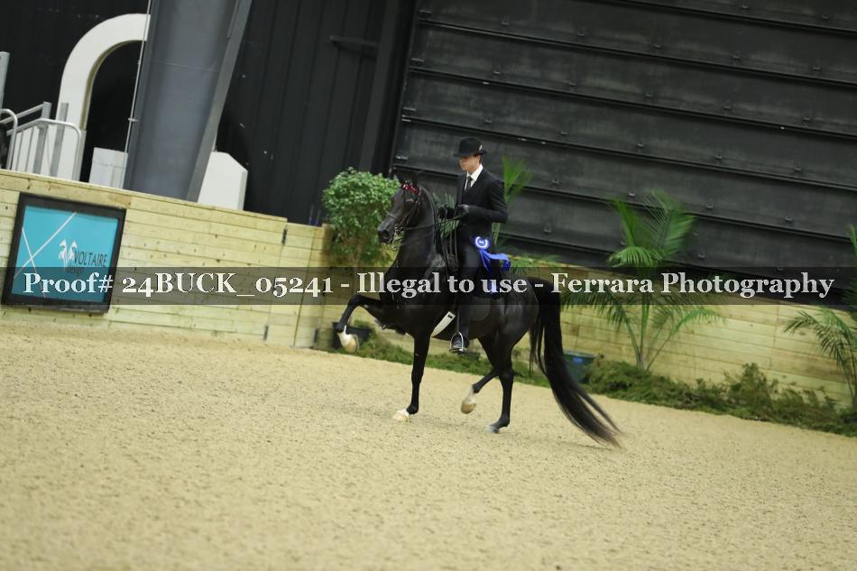 Proof 24BUCK_05241