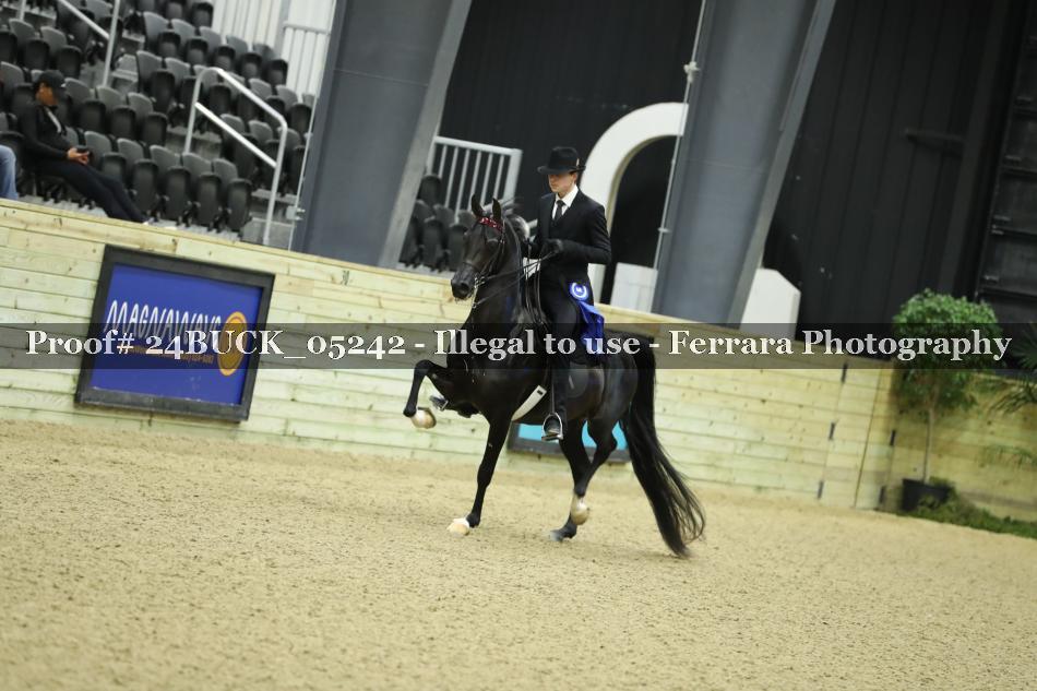 Proof 24BUCK_05242