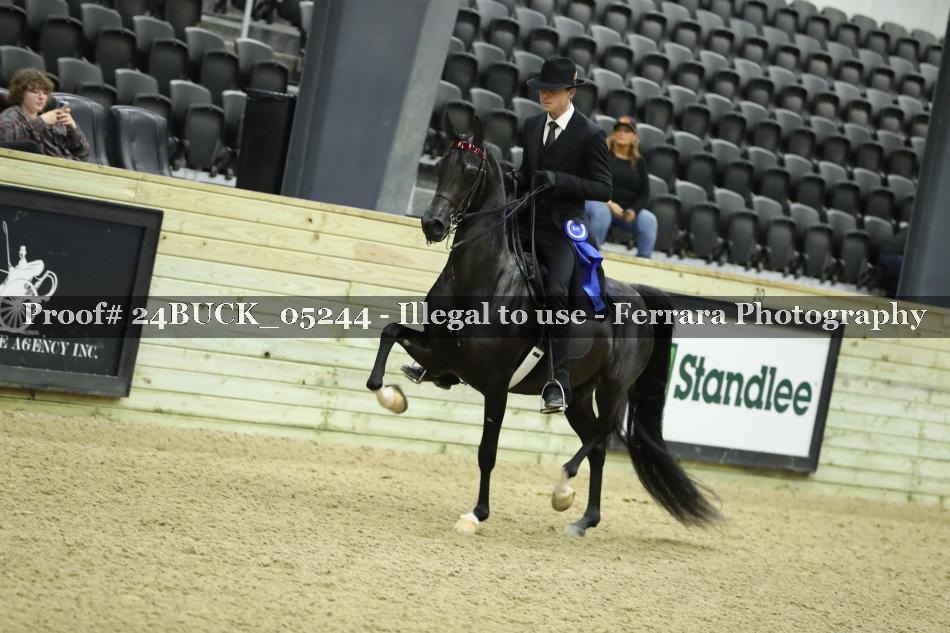 Proof 24BUCK_05244
