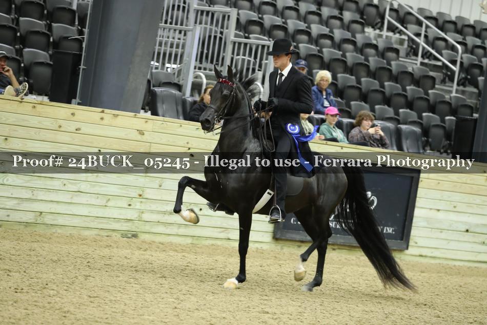 Proof 24BUCK_05245