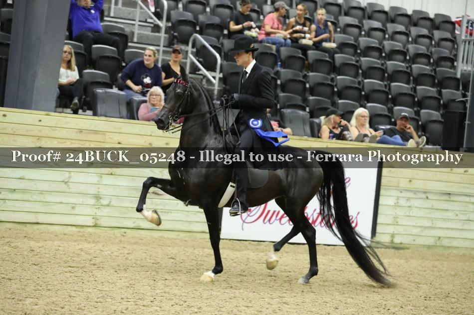Proof 24BUCK_05248