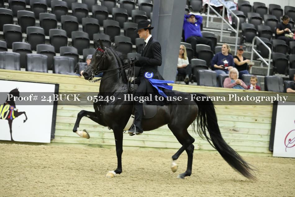 Proof 24BUCK_05249
