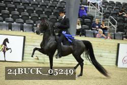 24BUCK_05249 proof