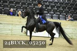 24BUCK_05250 proof