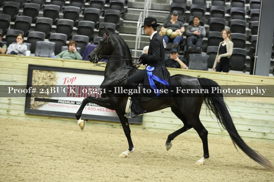 Proof 24BUCK_05251