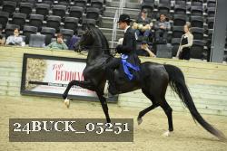24BUCK_05251 proof