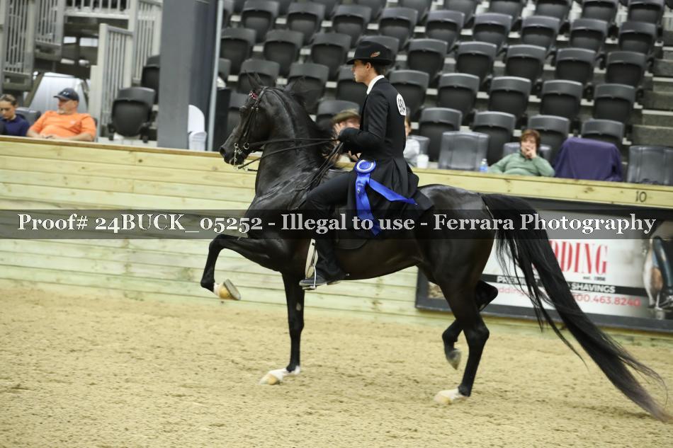 Proof 24BUCK_05252