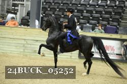 24BUCK_05252 proof