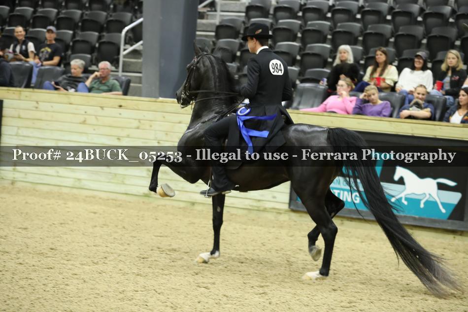 Proof 24BUCK_05253