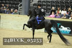 24BUCK_05253 proof