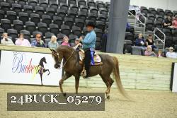 24BUCK_05279 proof