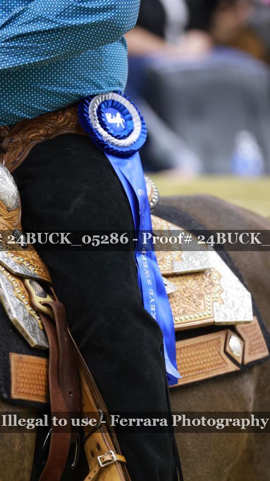 Proof 24BUCK_05286