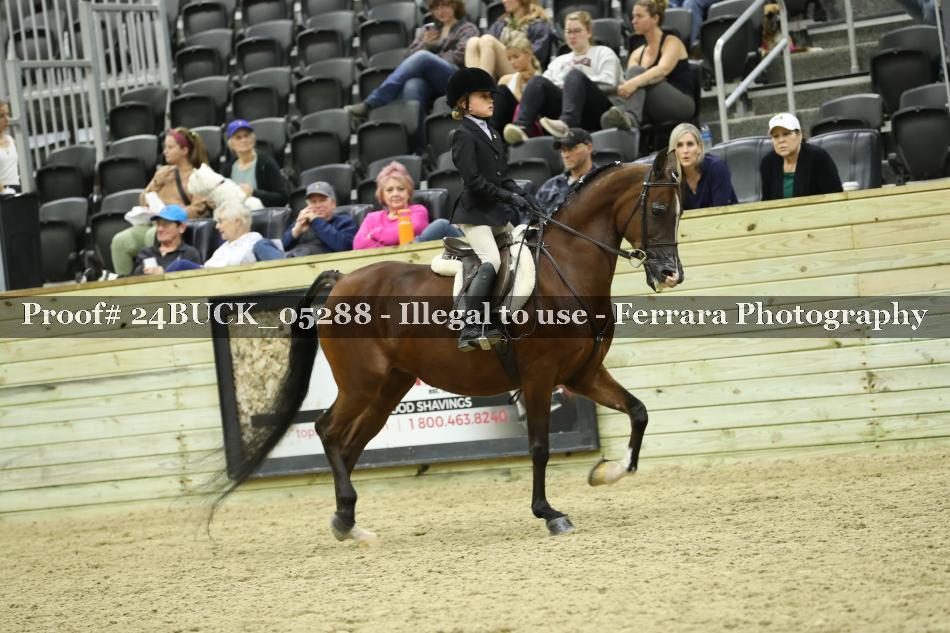 Proof 24BUCK_05288