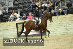 24BUCK_05288 proof